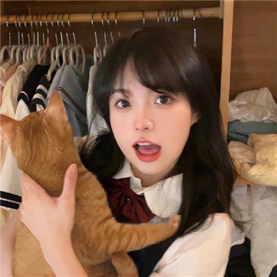 企鹅·布鲁姆