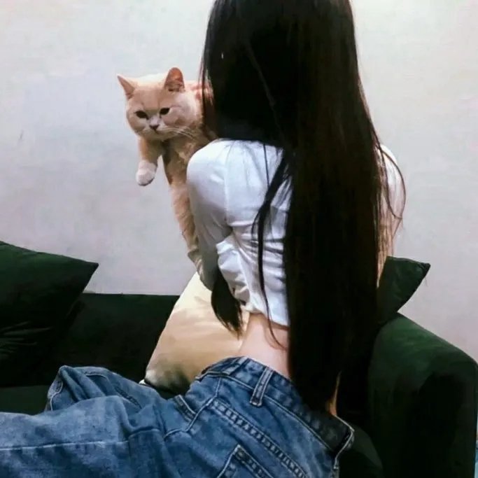 不负青春不负卿